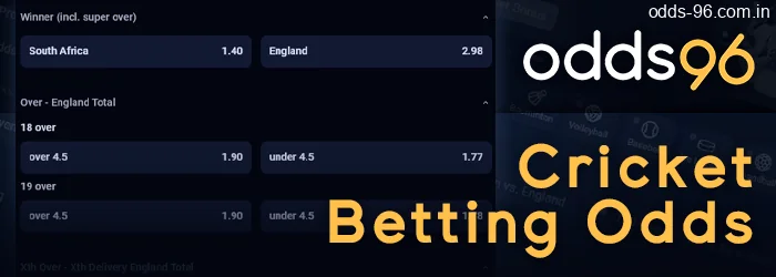 High odds for cricket betting on Odds96 site