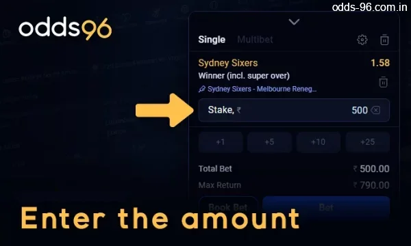 Enter the amount of bet on match Odds96