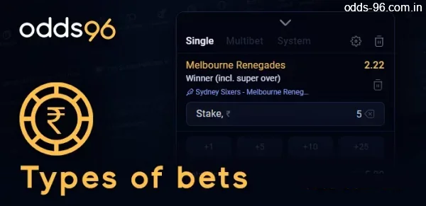 Types of bets in the coupon on Odds96