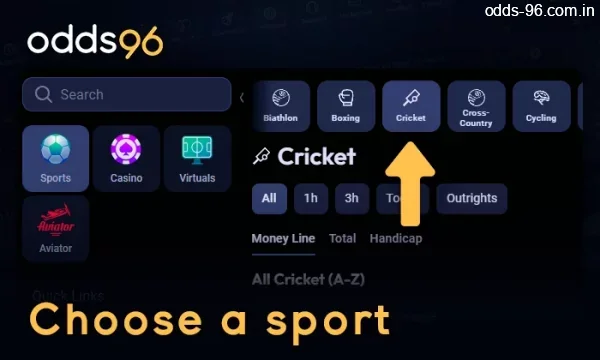 Choose a sport to bet on at Odds96